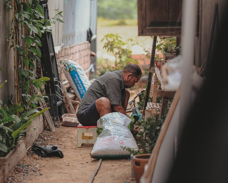 Collaborative Gardening Image